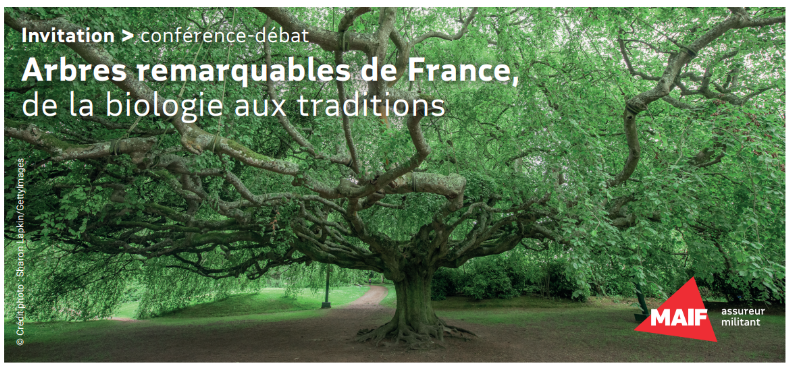 Une image contenant plante, arbre, capture d’écran, texte

Le contenu généré par l’IA peut être incorrect.
